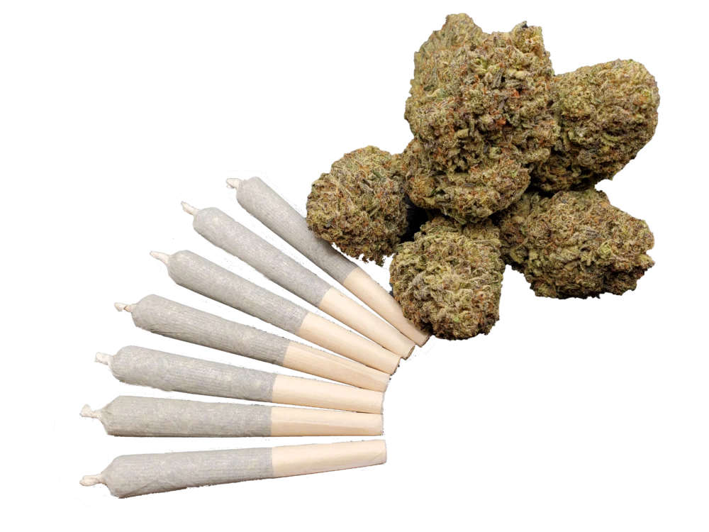 Chonky AF pre-rolls