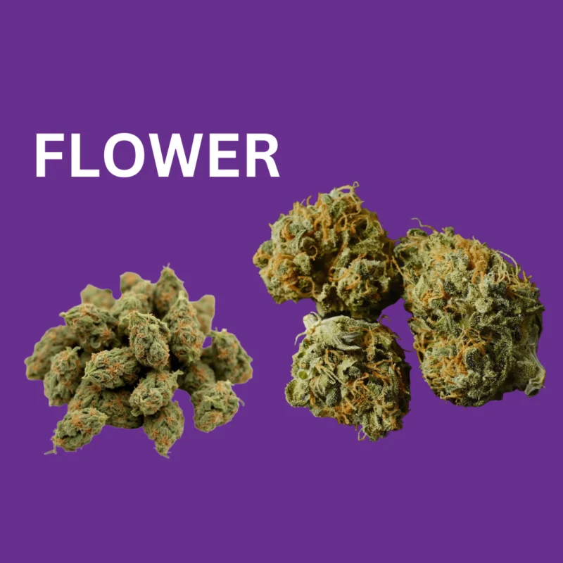 FLOWER (1080 x 1080 px) - 1