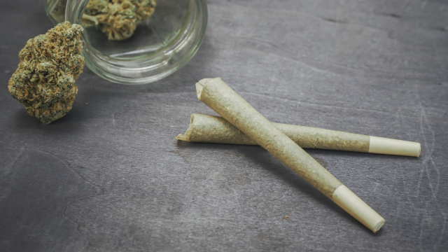 What Makes Infused Pre-Rolls Different From Regular Ones?