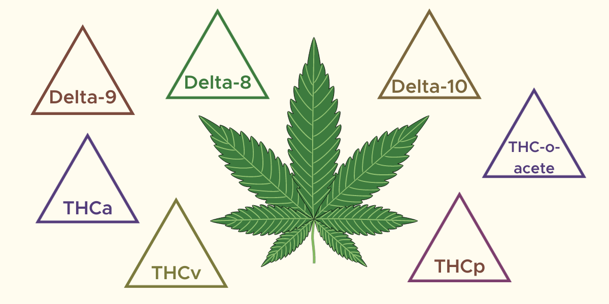 All 6 Types of THC Explained: Effects, Potency & Legal Status Compared