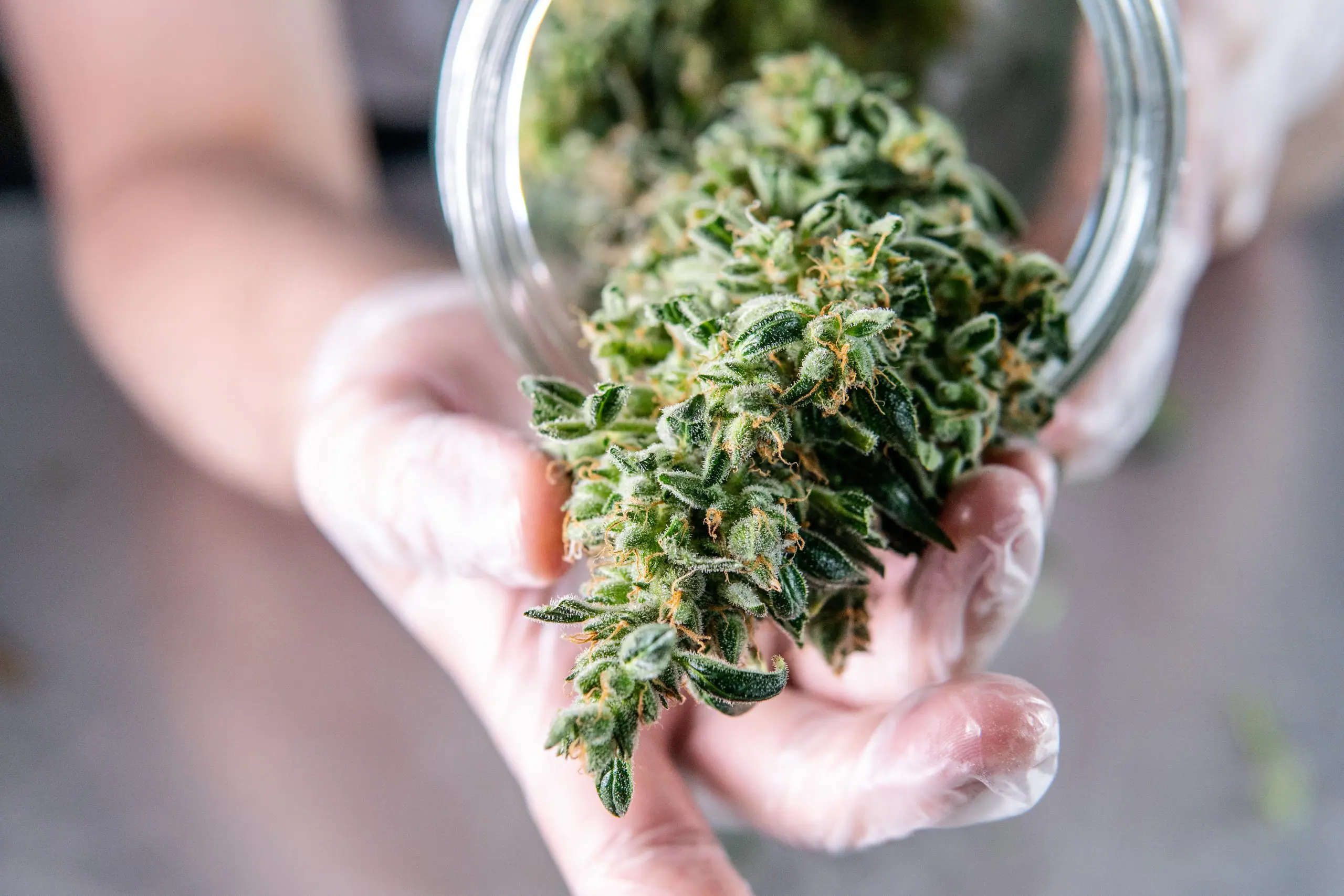Expert Tips for a Slow and Thoughtful Cannabis Ritual