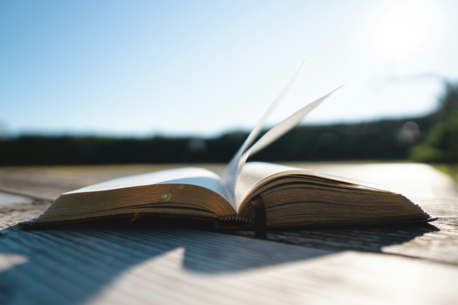 Cannabis Books in Canada: 8 Cannabis Culture Books Worth Reading