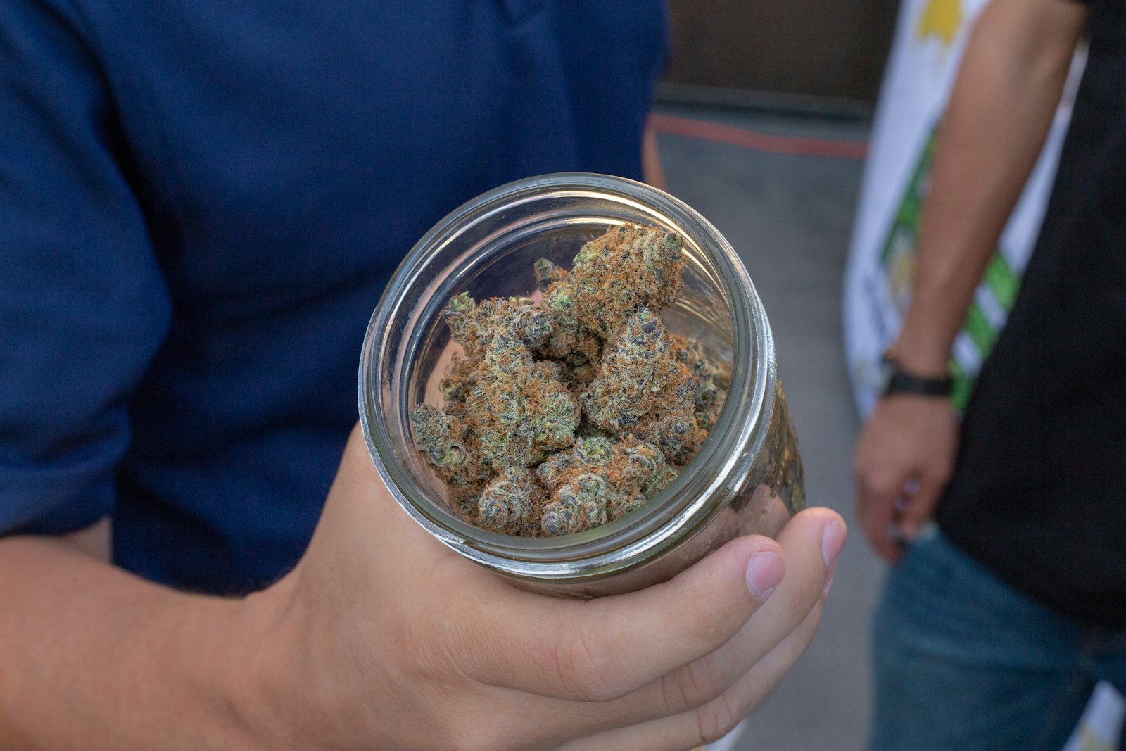 How to Revive Dry Weed Without Growing Mold