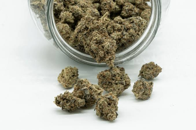 What Humidity Keeps Cannabis Flower Fresh Long Term?