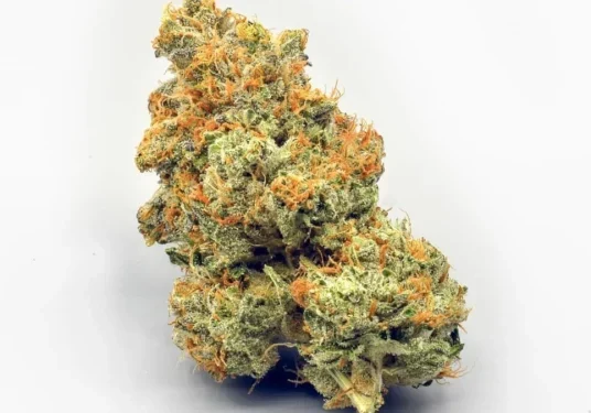 5 Cannabis Strains That Are Perfect for Social Settings