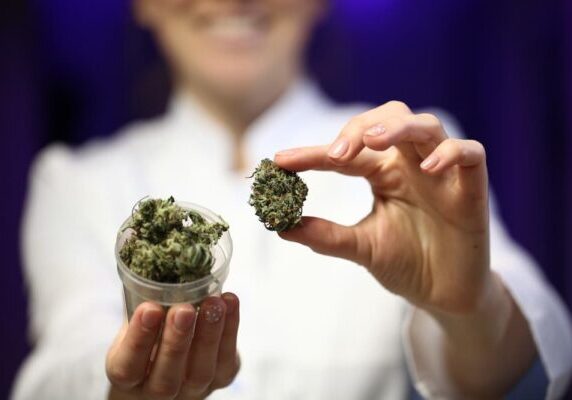 How to Get a Job in the Cannabis Industry