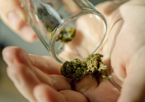 What is the Etiquette for Social Cannabis use?