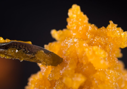 5 Reasons Live Resin Is Worth the Extra Cost