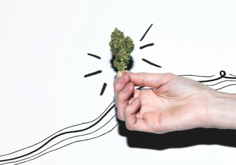What are the Best Cannabis products for Beginners who have never tried Weed?
