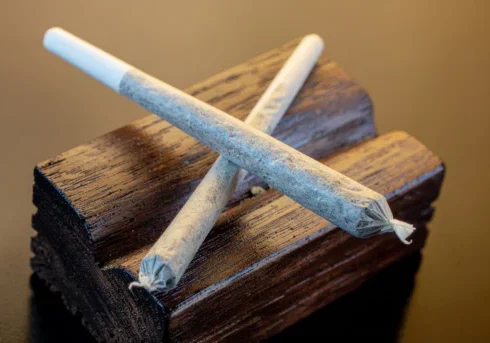 What are Pre-rolled Joints and How do they Work?