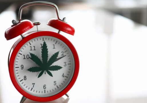 What Is a Cannabis Tolerance Break