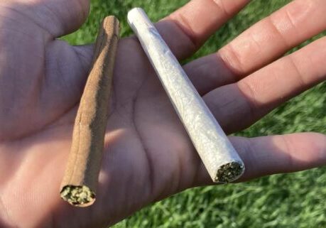 VerCol_202411_2140501_Blogs_OnPageImage_HowToRollAJoint_BluntAndJoint_1124x601_FNL