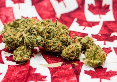 What Makes Canada’s Cannabis Market Unique