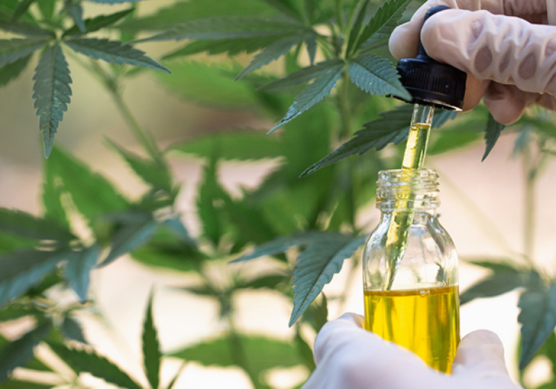 Cannabinoids