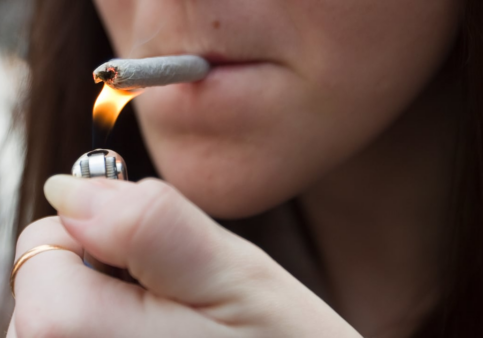 What is the Difference between Getting High from Weed vs Feeling the Effects of CBD?
