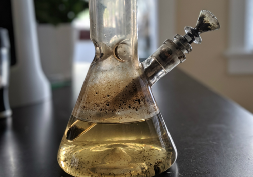 Is Bong Water Good for Plants?