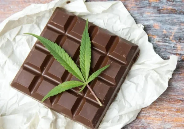 Cannabis Chocolate and the 10mg Question