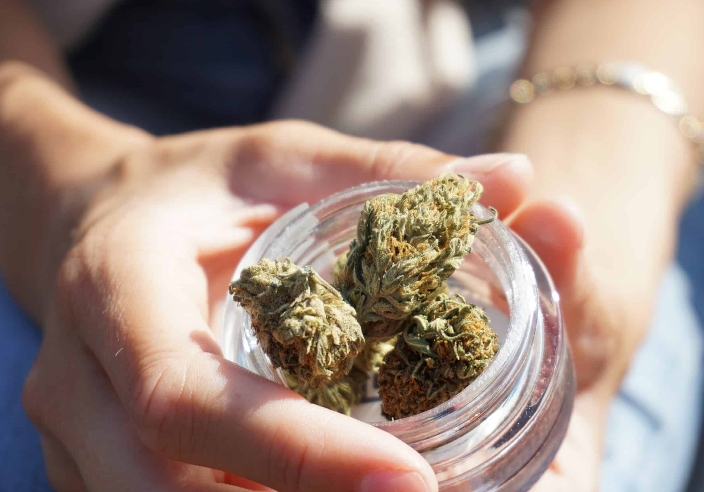 What is the Best Way to Store Cannabis Flower to Keep it Fresh?