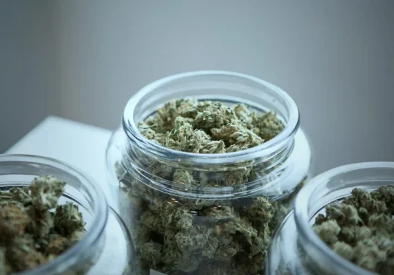 Does Weed Go Bad and How Long Does it Last?