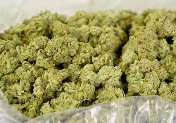 og kush
