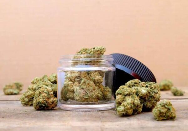 Your Ultimate Guide to THC Levels